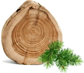 Форма отправлена успешно