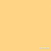 картинка Акватекс СКАНДИ. Карамель. 0,75 л. Кроющий антисептик для древесины